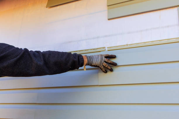 Affordable Siding Repair and Maintenance Services in Valley View, PA